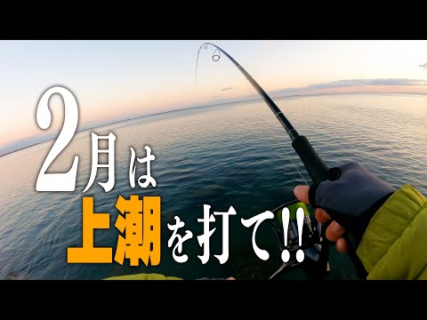 真冬は“上潮”を狙おう！夕陽が綺麗な木曽三川河口で釣る。