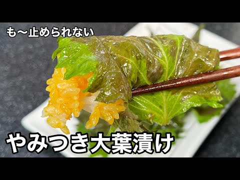 暑いから料理したくなくても、これは簡単！やみつき大葉漬け