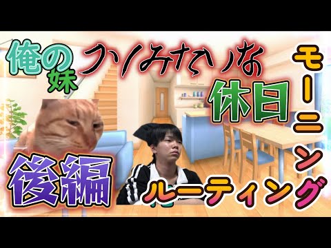 【猫ミーム】どんまるのクソみたいな休日モーニングルーティン後編