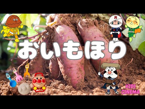 🍠おいもほりの歌✨アンパンマンと一緒に楽しくおいも掘り！The Sweet Potato Harvest Song🍠 Join Anpanman for Fun Digging Adventures!