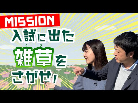 【雑草という名の草はない】MISSION!入試に出た雑草（くさ）をさがせ！