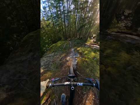 Mountain Biking does not get much better than this. #mountainbiking #sunset #pov