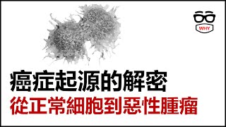 癌症起源的解密：從正常細胞到惡性腫瘤