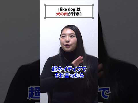 I like dogは本当に犬の肉が好きなのかKayに聞いてみた #shorts