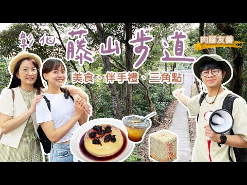 【彰化】超好玩步道！邊登山邊吃美食，員林藤山步道超好爬！藏身茶園的樟普寮山三角點超隱密，順遊八卦路買熱門伴手禮！回程走臥龍坡步道，一路下坡超輕鬆～｜肉腳友善步道｜1000步的繽紛台灣