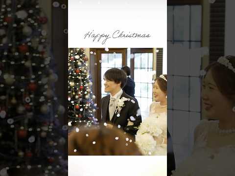 【ラヴィーナ和歌山】Happy christmas🎄✨