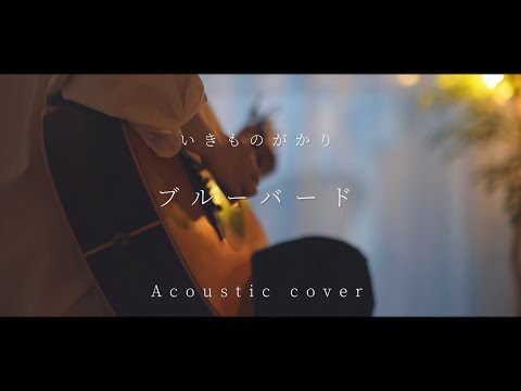 ブルーバード/いきものがかり(Acoustic covered by あれくん)