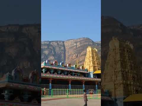 penchalakona narasimhaswami temple