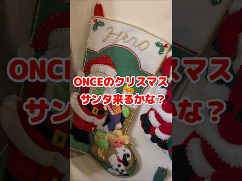 ONCEのクリスマス サンタ来るかな / ONCE Christmas ready for Santa to come / #shorts