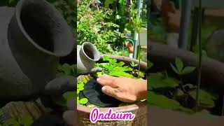 Nature's Beauty: Ondaum World's 9in1 Floating Solar Water Pump #Gardeningpump #SolarWaterPump