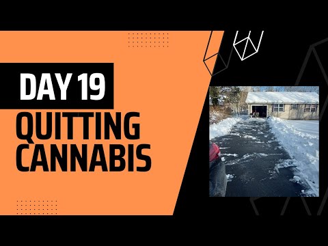 Day 19: Quitting THC - Fear of Change, Smelling the Weed and the Illusion of Escape