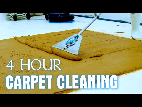 4 Hour ASMR Carpet Cleaning For Sleeping - ASMR Satisfying Cleaning Video To Help You Sleep Better