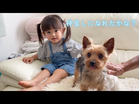 毎日楽しい日常（2歳4ヶ月）