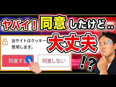 ヤバイ！クッキー（cookie）同意したけど大丈夫か？しないとどうなる？なぜ必要【音速パソコン教室】