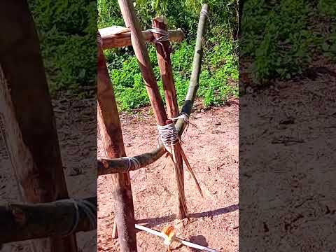 A TRAP IN TWENTY MINUTES  #trap #survival #tools #farming #bushcraft