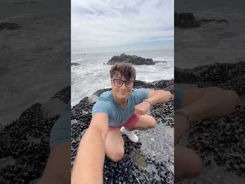 Beginner Tide Pooling Tips