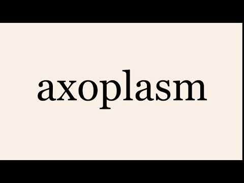 axoplasm