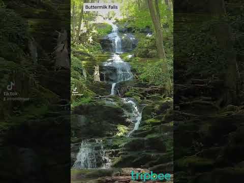 Buttermilk Falls - Minute of Zen