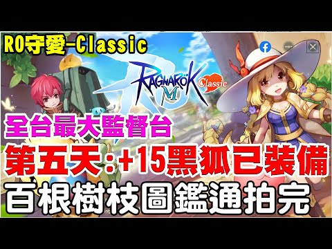 【RO：守愛Classic】超冷阿瑞累了開三小時陪大家《緊張婆婆贊助200+樹枝開打》已裝備+15黑狐頸鍊！目前除了王卡課，遊戲還算有良心！【阿瑞斯Ares】