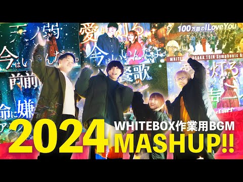 【MASHUP総集編2024】最強マッシュアップメドレー【作業用BGM】