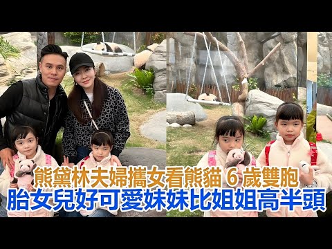 熊黛林夫婦攜女看熊貓，6歲雙胞胎女兒好可愛，妹妹比姐姐高半頭#熊黛林#郭可頌