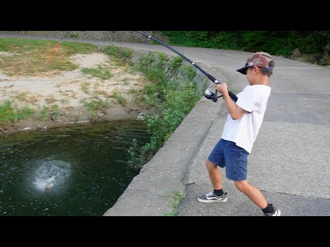 橋の下に潜んでいたヤバい巨大魚釣った！