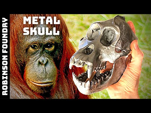 Turning a 3D PRINT Into an ALUMINUM Casting Using LOST PLA │Orangutan Skull