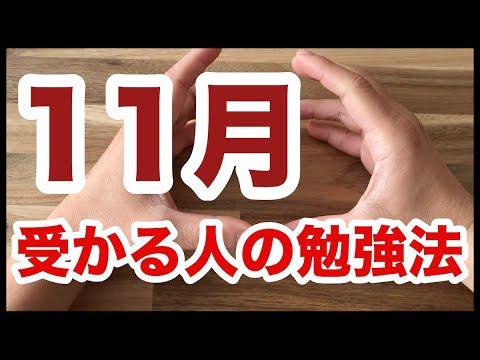 11月から何を勉強すればいいの？【国公立大学編】