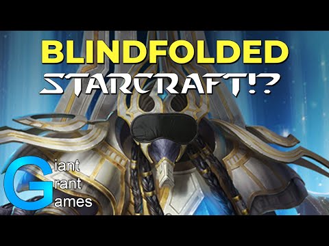 Can you beat Starcraft 2: Legacy of the Void Blindfolded?