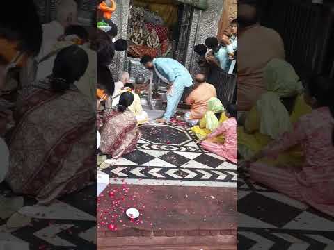 Jay  Siri Banke Bihari  #shortvideo #trending