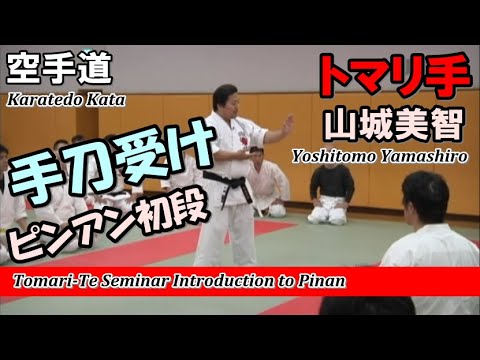 手刀受け ピンアン初段 山城美智 トマリ手 平安 tomari-te karatedo pinan kata okinawa-kenpo