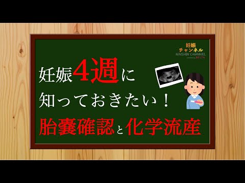 【妊娠4週】この時期に知っておきたい！胎嚢確認と流産について☝️