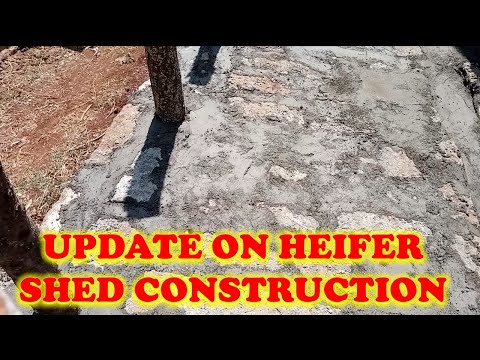 Update of Heifer Shed Construction