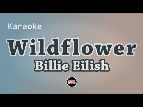 Billie Eilish - WILDFLOWER (Karaoke with Lyrics)