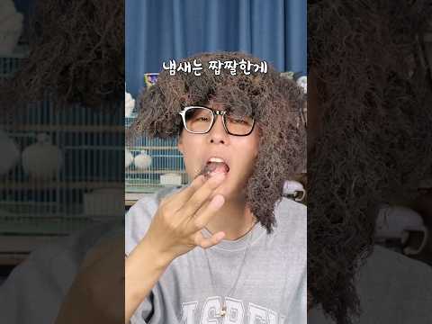 먹방 유튜버가 힘든 이유..