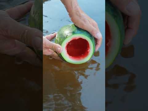 Mama and Daughter Show Survival Skill With Watermelon #survival #outdoorsurvival #camping #bushcraft