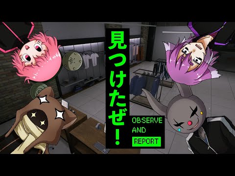 【Observe and Report】協力して異常を見つけるのも悪くはない