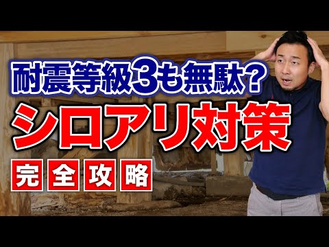 【完全攻略】5人に1人が被害に遭う木造住宅のシロアリ対策！新築時が特に重要なワケ