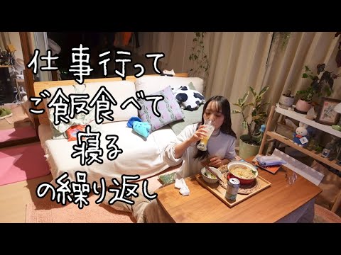 vlog⎮仕事して自炊して寝て必死に生きてる⎮やる気100弁当と0弁当🍱⎮玄関の整理と断捨離👟⎮自炊log