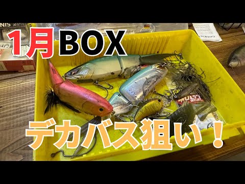 【バス釣り】一月のタックルBOX入れ替え！冬に安定して釣る為の狙い方、おすすめルアー、ワームを解説しながら入れ替えます。難しい冬を釣る、釣り方とは【初バス狙い】【釣れるルアー】