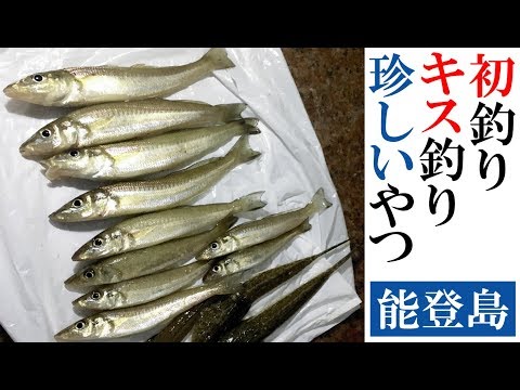 【キス釣り】2020一発目の釣りは落ちキス狙い！で、めずらしいヤツ掛かっちゃた！