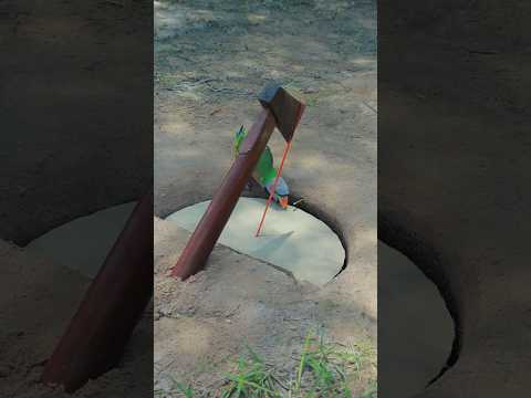 Amazing Quick Unique DIY Parrot Trapping Technique Using Cardboard Box and Ax #ytshorts #shorts