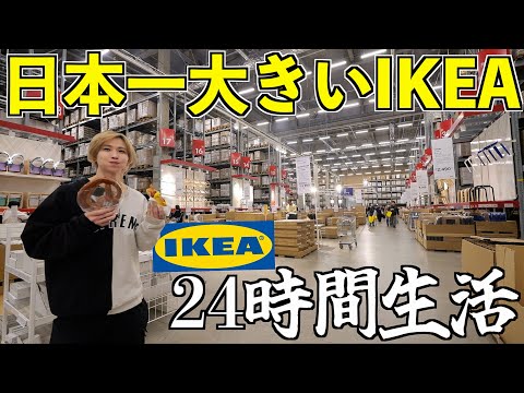 【日本一大きいIKEA】24時間食べ放題生活してみた！勝手に買い放題！