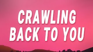 Hozier - Crawling back to you (Do I Wanna Know?) (Lyrics)