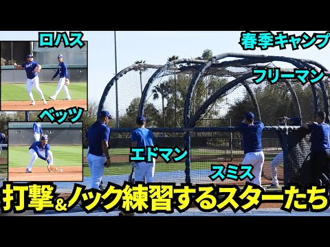 ベッツ&ロハスのノック練習&フリーマン&スミス&エドマンらの打撃練習！ドジャース豪華スタメンが目の前で練習中！【現地映像】2025年3月5日スプリングトレーニング