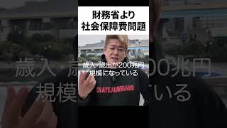 財務省解体より問題なこと#ホリエモン #切り抜き #政治 #ヒカル #japan #ビジネス #usa #増税  #減税 #財務省 #デモ #青汁王子 #林 #食料品 #税率 #社会 #社会保障