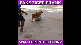 FAKE TIGER PRANK DOG FUNNY #short