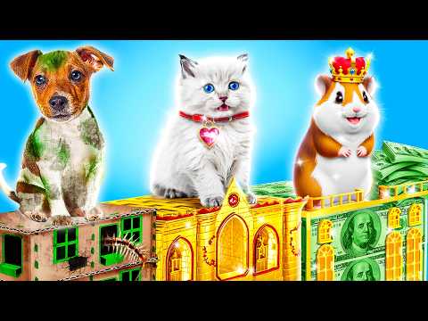 Poor vs Rich vs Giga Rich Animal Shelter! We Build SECRET Rooms for Pets