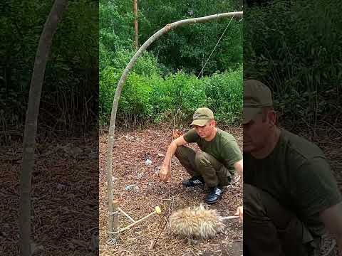 TRAPPING THE BEAST IN EXTREME SITUATIONS  #wood #trap #survival #nature