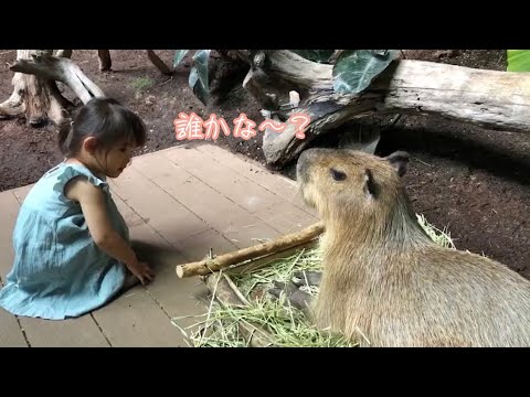 パパと水族館に行ったよ🎵（2歳5ヶ月）